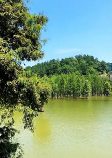 青山湖10