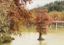 青山湖3