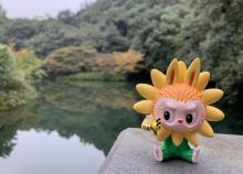 九溪十八涧18