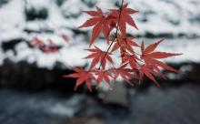 九溪十八涧4