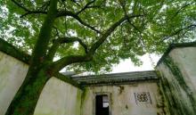 鲁迅故里景区16