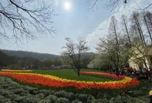 太子湾公园30