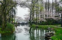 太子湾公园7