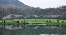太子湾公园8