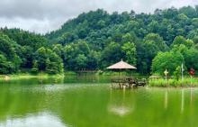 千岛湖龙川湾25