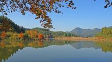 千岛湖龙川湾5