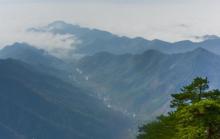 天目山景区9
