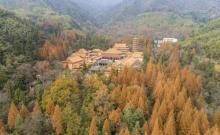天目山景区11