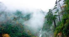 天目山景区1