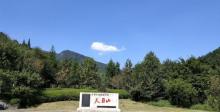 天目山景区12