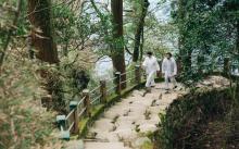 天目山景区5