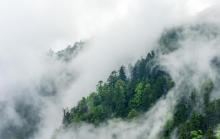 天目山景区3