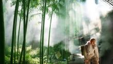 天目山景区16