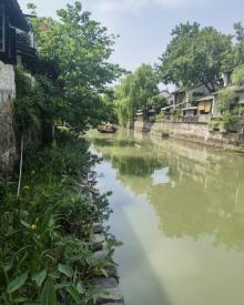 绍兴古城11