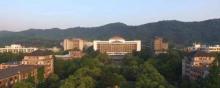浙江大学11