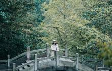 大明山景区30