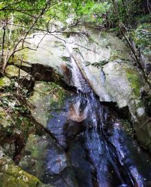 千岛湖森林氧吧27