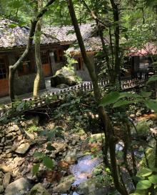 千岛湖森林氧吧30