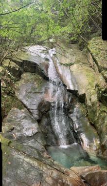 千岛湖森林氧吧28