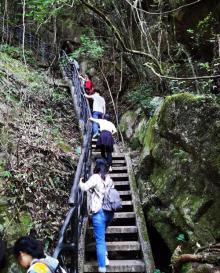 千岛湖森林氧吧26