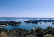 千岛湖森林氧吧8