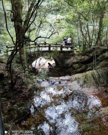 千岛湖森林氧吧19