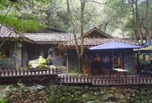 千岛湖森林氧吧20