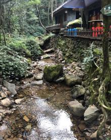 千岛湖森林氧吧24
