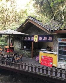 千岛湖森林氧吧23