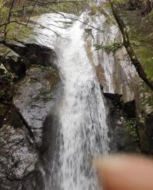 千岛湖森林氧吧6