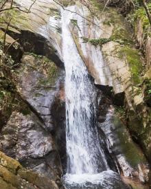 千岛湖森林氧吧10