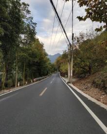 千岛湖森林氧吧15