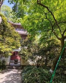 虎跑公园16