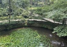 虎跑公园9