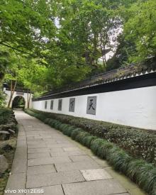 虎跑公园13