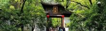 虎跑公园18