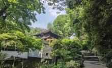 虎跑公园21