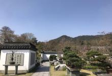 杭州植物园19
