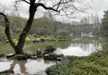 杭州植物园18