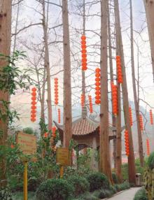 上天竺法喜讲寺1