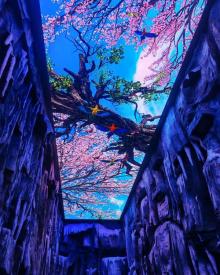 梦幻千岛湖・时光隧道9