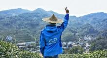龙井村5