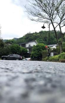 龙井村24