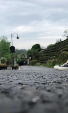 龙井村23
