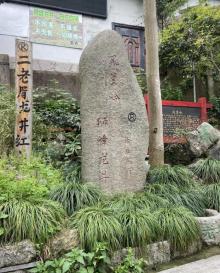 龙井村26