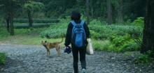 龙井村3