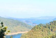 梅峰岛9