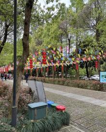 大奇山国家森林公园18