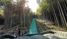 莫干山风景名胜区7