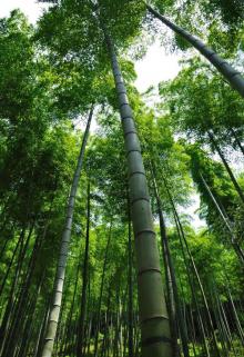 莫干山风景名胜区19